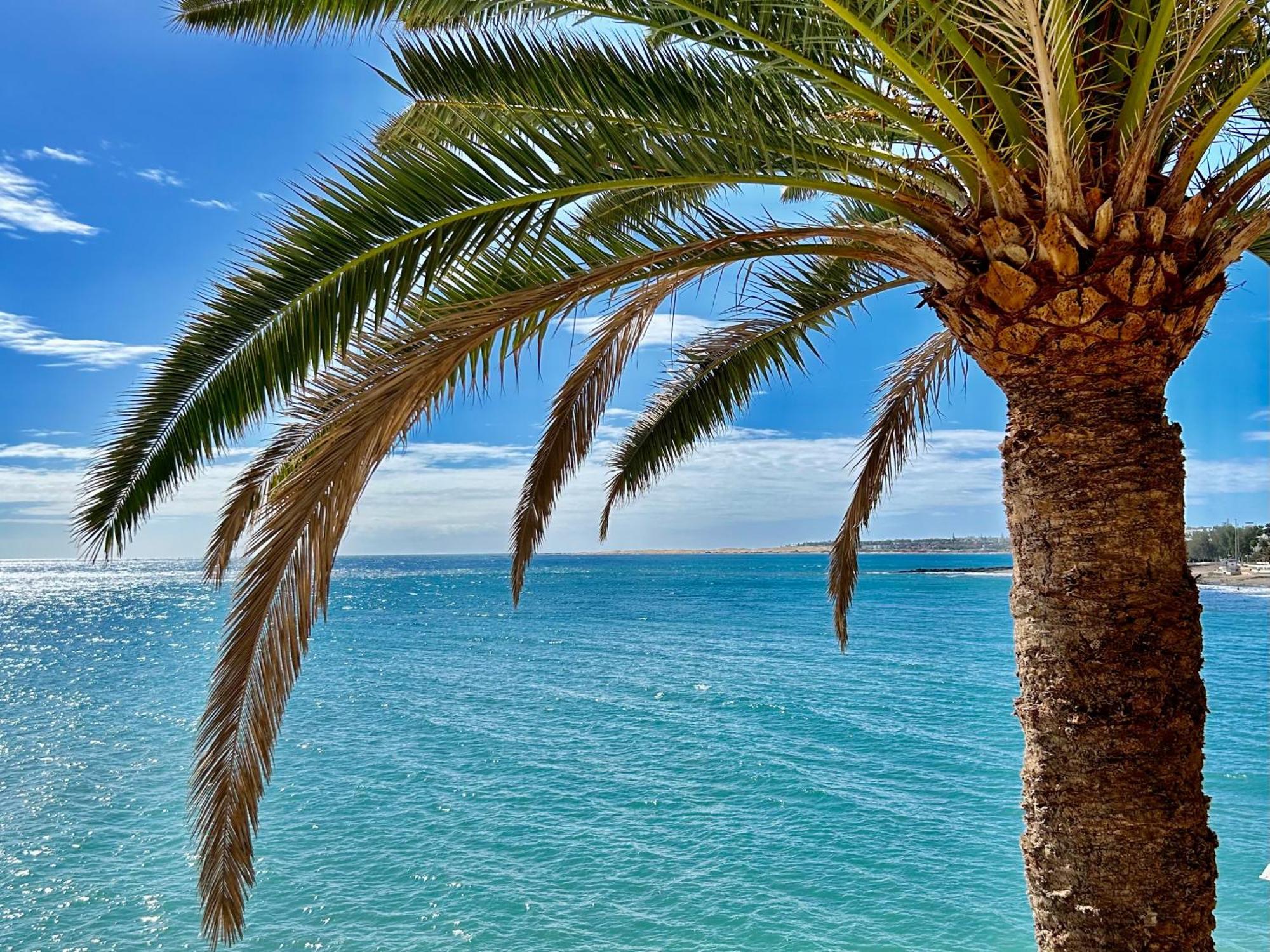 Sobre El Mar Con Vistas A Las Dunas De Maspalomas Сан-Агустін Екстер'єр фото